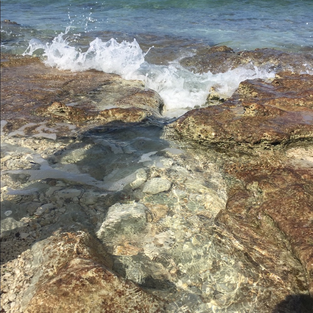 Meet your Posher, Delsie